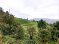 casa indipendente in vendita a Savignone