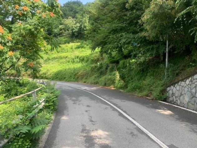 casa indipendente in vendita a Serra Riccò in zona Serra