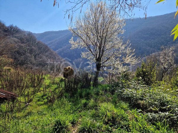 terreno agricolo in vendita a Serra Riccò