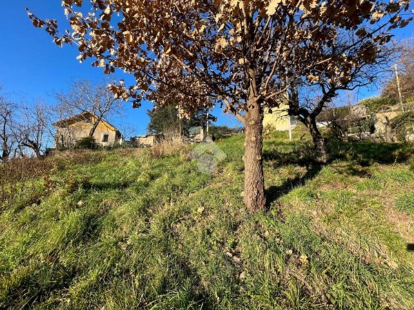 casa indipendente in vendita a Serra Riccò