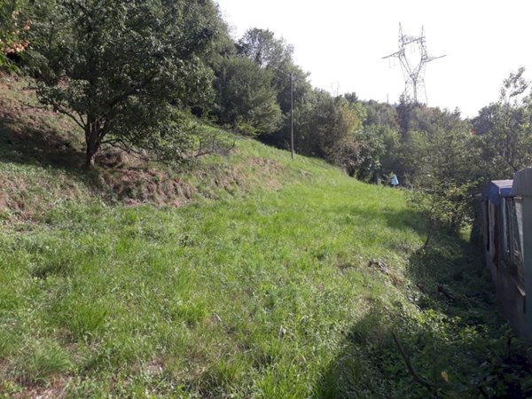 terreno edificabile in vendita a Serra Riccò