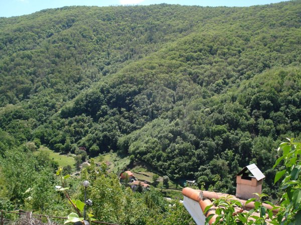 casa indipendente in vendita a Serra Riccò in zona Serra