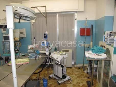 appartamento in vendita a Serra Riccò in zona Pedemonte