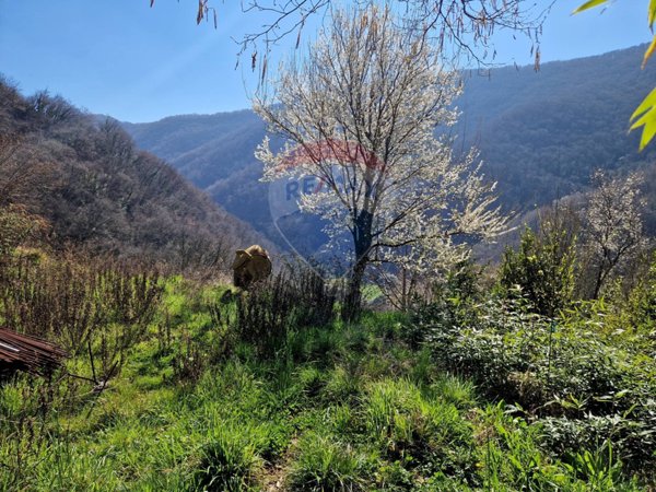 appartamento in vendita a Serra Riccò in zona Serra