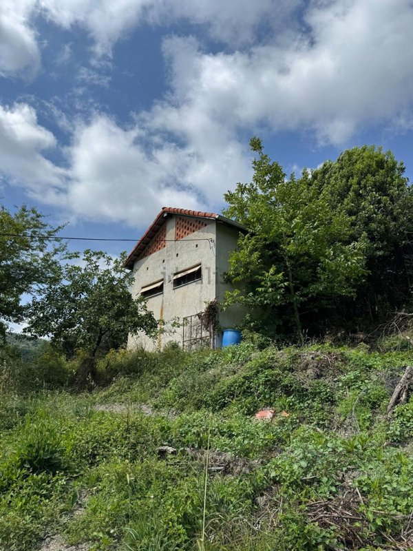 immagine annuncio 0 di 1