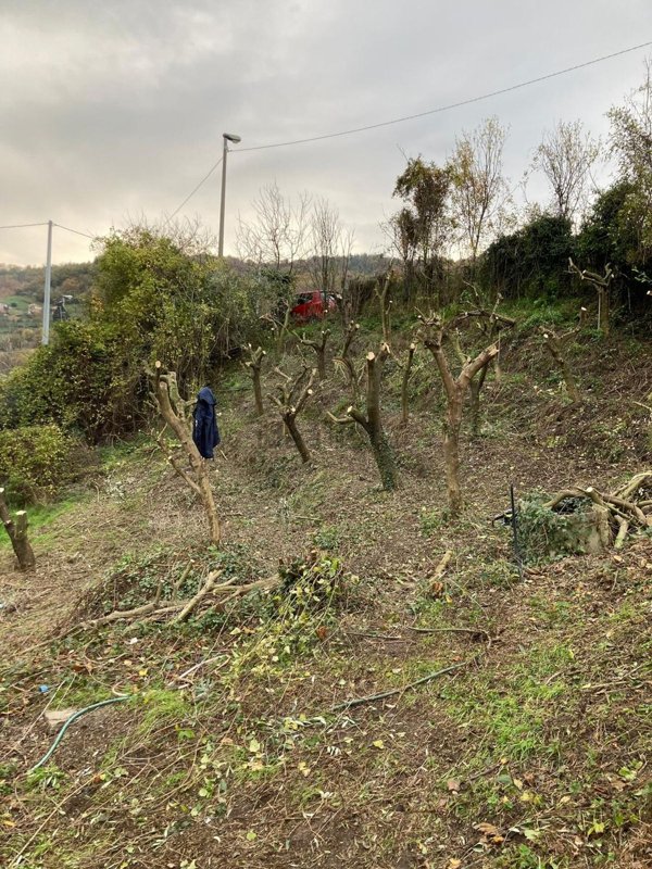 terreno edificabile in vendita a Serra Riccò
