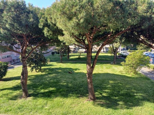 appartamento in vendita a Sestri Levante in zona Riva Trigoso