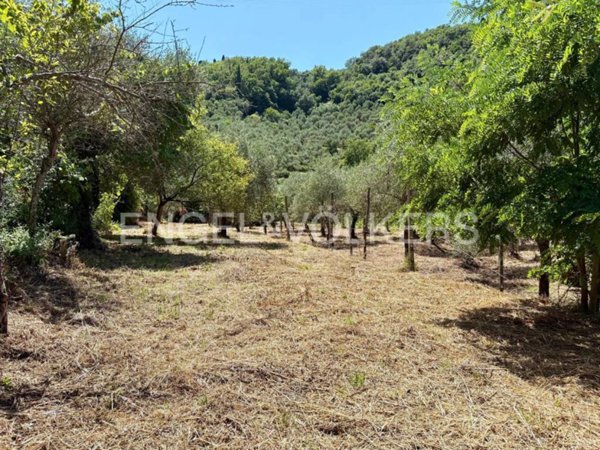 terreno agricolo in vendita a Sestri Levante in zona Riva Trigoso