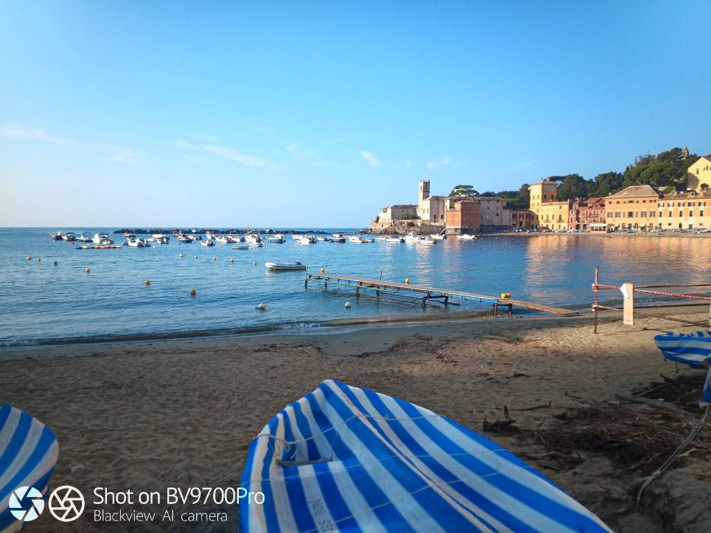 negozio in vendita a Sestri Levante