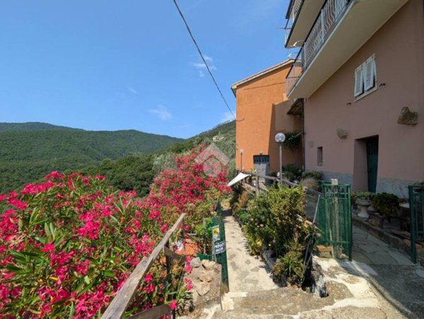 immagine annuncio 0 di 1