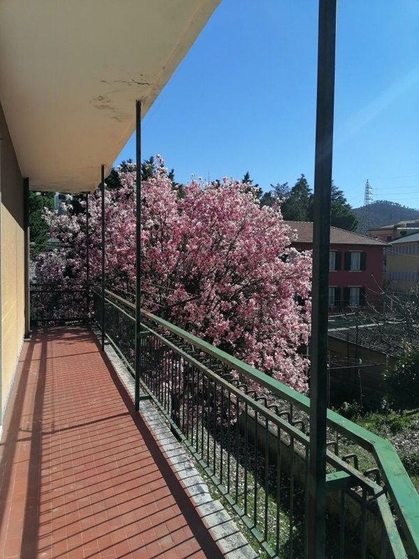 appartamento in vendita a Sestri Levante in zona Santo Stefano