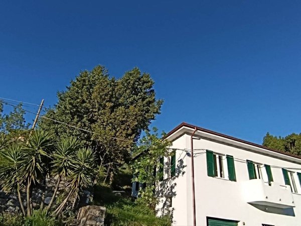 appartamento in vendita a Sestri Levante in zona Pila sul Gromolo
