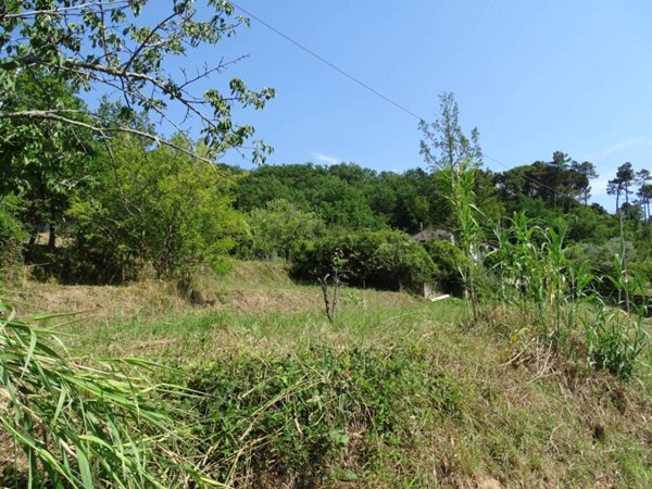 terreno agricolo in vendita a Sestri Levante in zona Pila sul Gromolo