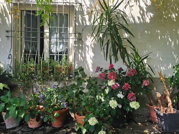casa indipendente in vendita a Sestri Levante in zona San Bernardo