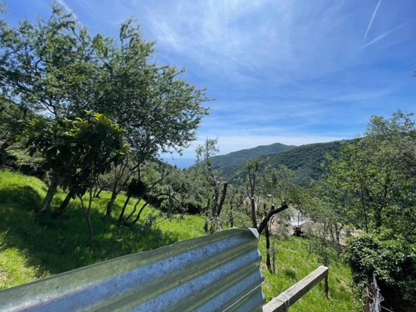 terreno agricolo in vendita a Sori in zona Capreno