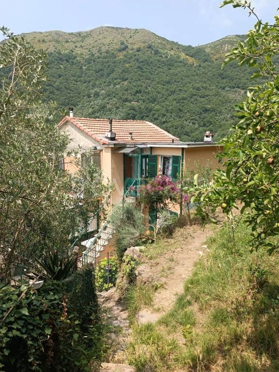 casa indipendente in vendita a Sori in zona Teriasca