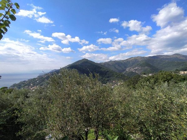 casa indipendente in vendita a Sori