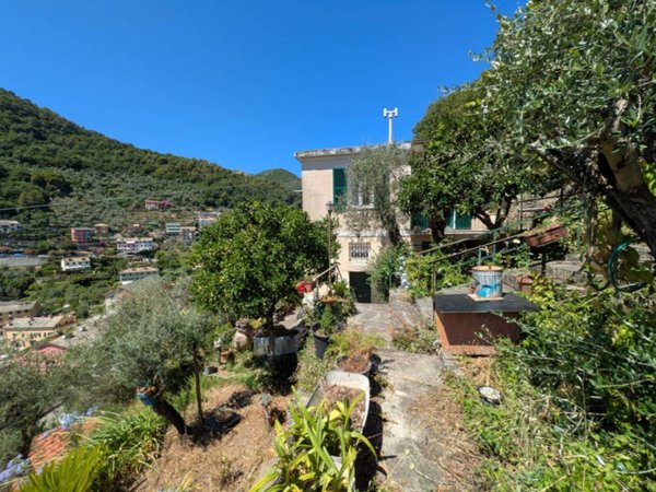 immagine annuncio 0 di 15