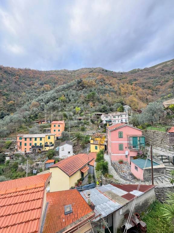 casa indipendente in vendita a Sori in zona Teriasca