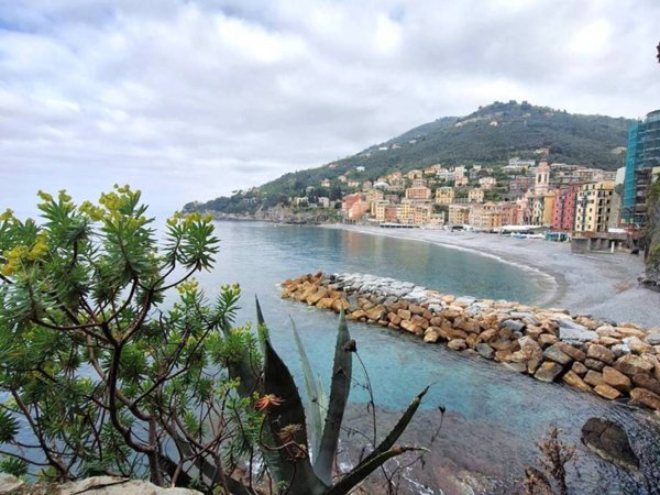 appartamento in vendita a Sori