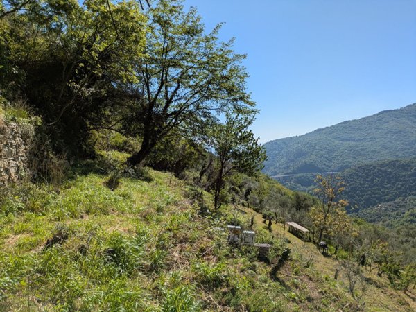 appartamento in vendita a Sori in zona Capreno