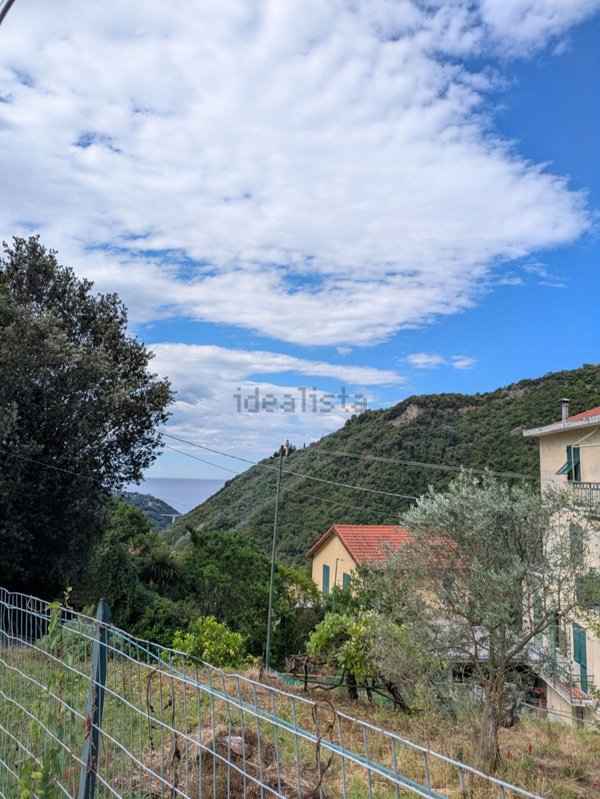 appartamento in vendita a Sori in zona Sussisa