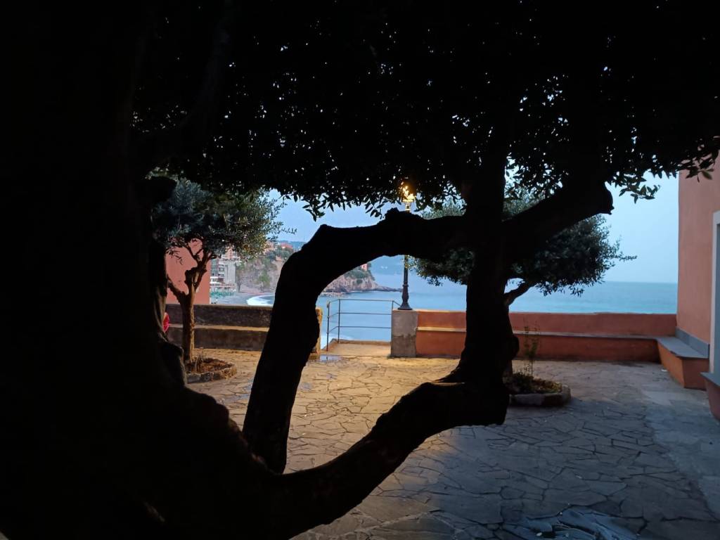 appartamento in vendita a Sori