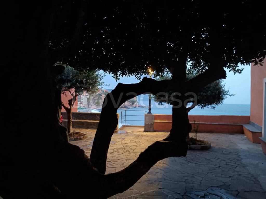 immagine annuncio 0 di 15