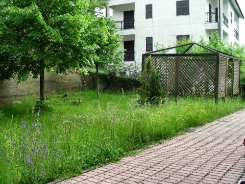 appartamento in vendita a Tiglieto