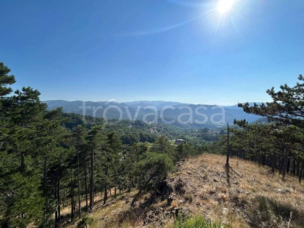 casa indipendente in vendita a Tiglieto