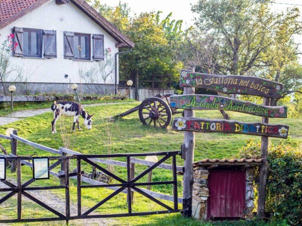 casa indipendente in vendita a Tiglieto