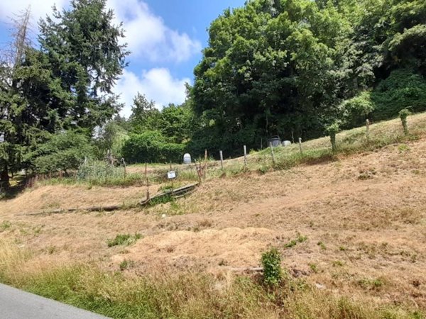 terreno agricolo in vendita a Torriglia