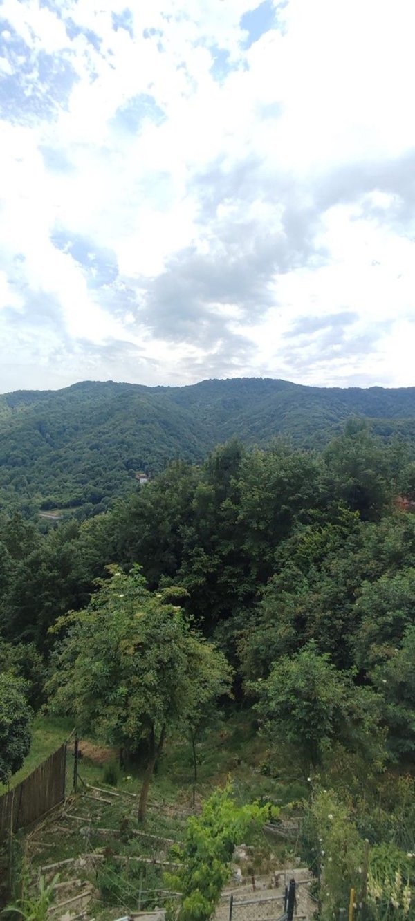 casa indipendente in vendita a Torriglia
