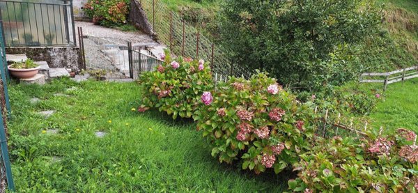 appartamento in vendita a Torriglia in zona Donetta