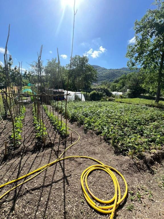 casa indipendente in vendita a Torriglia in zona Casaleggio
