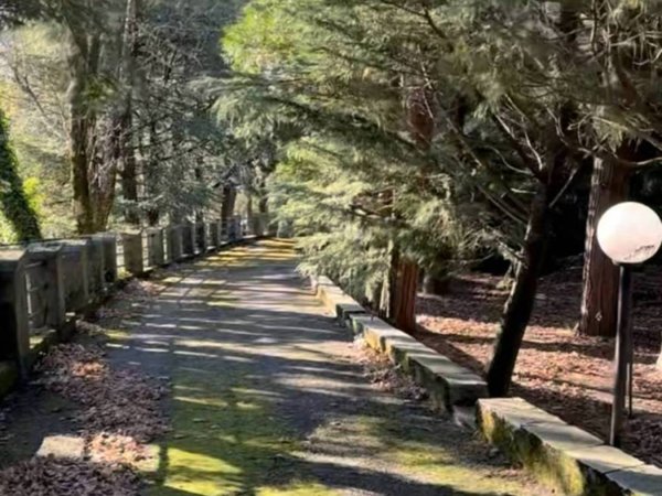 casa indipendente in vendita a Torriglia in zona Porto