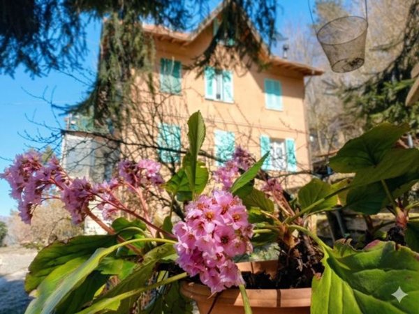 casa indipendente in vendita a Torriglia