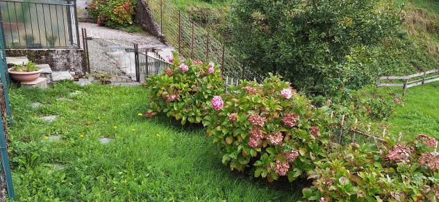 appartamento in vendita a Torriglia in zona Donetta