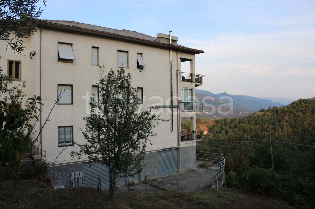 appartamento in vendita a Tribogna