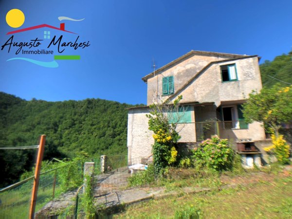 casa indipendente in vendita a Tribogna