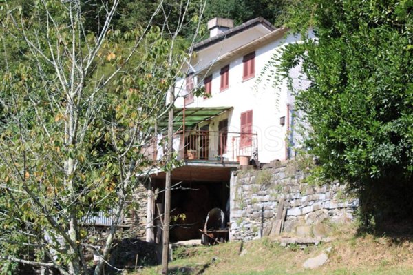 casa indipendente in vendita a Tribogna