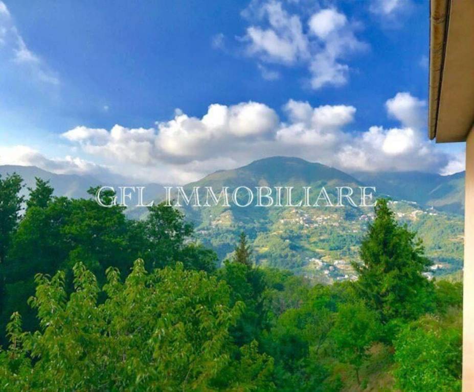 appartamento in vendita a Tribogna in zona Garbarini