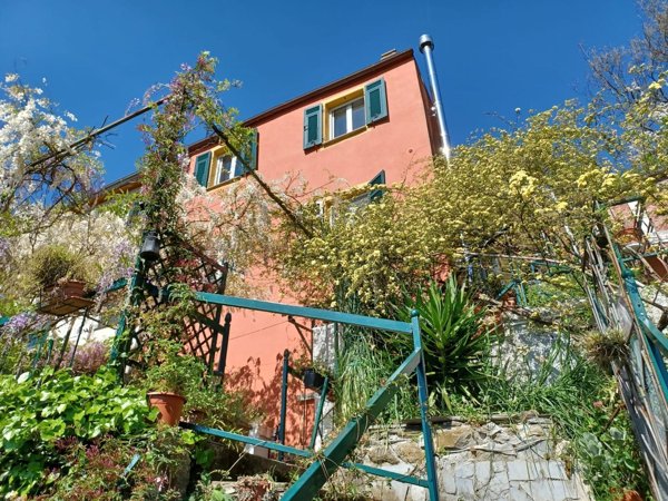 quadrivano in vendita a Tribogna