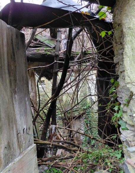 casa indipendente in vendita a Tribogna
