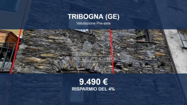 casa indipendente in vendita a Tribogna