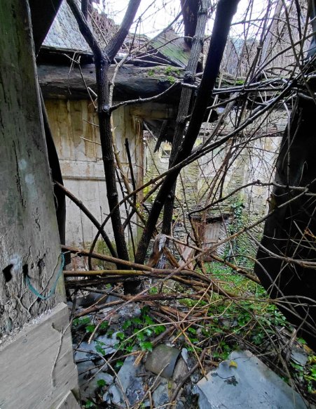 casa indipendente in vendita a Tribogna
