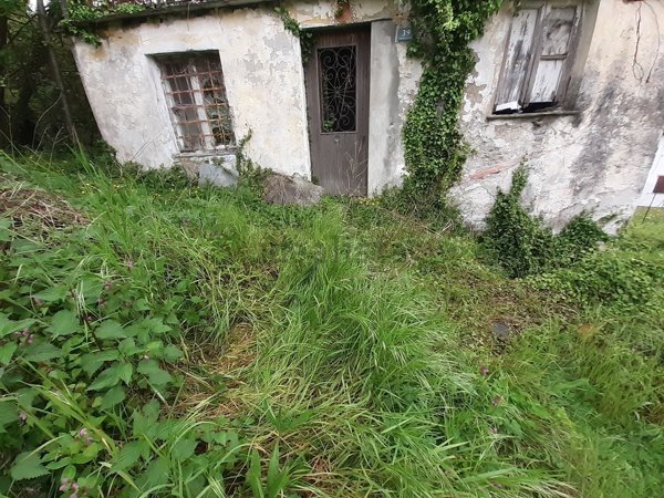 pentavano in vendita ad Uscio