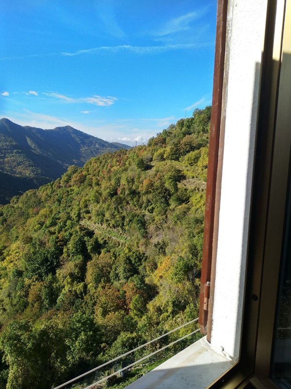 appartamento in vendita a Valbrevenna