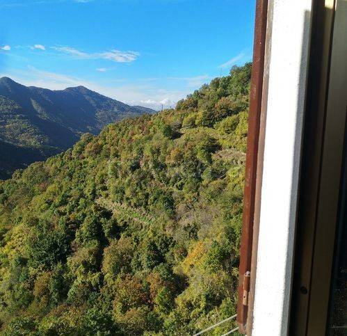 casa indipendente in vendita a Valbrevenna