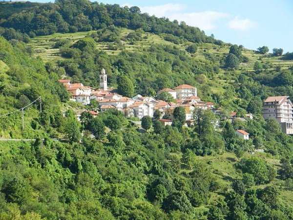 esavano in vendita a Vobbia in zona Alpe